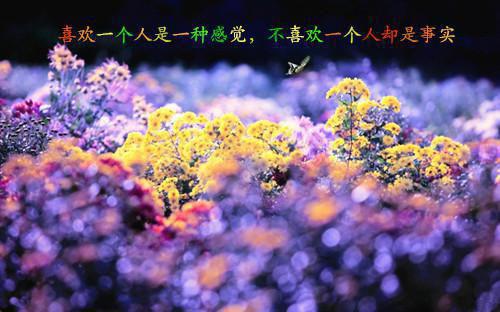 世界杯新曲！不止是足球，更是生活的热情颂歌！