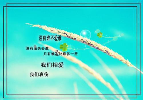当明星的环保声明变成一场精致的表演