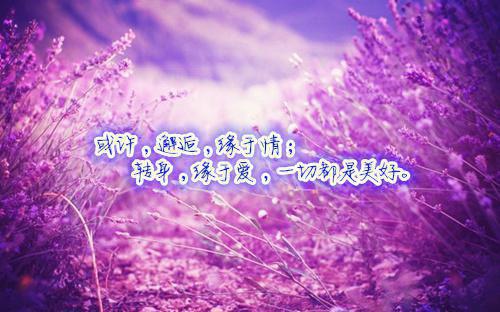 当残局成为热门话题？magixx的1v4到底在说什么？